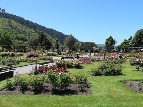 Lady Norwood Rose Garden, Wellington
